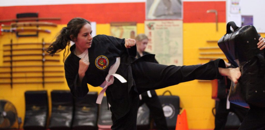 Shaolin kempo karate shcolars. Kick in shield exercise