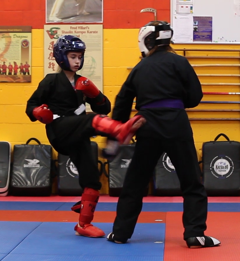 Shaolin Kempo Karate scholars, sparring exercise and teaching